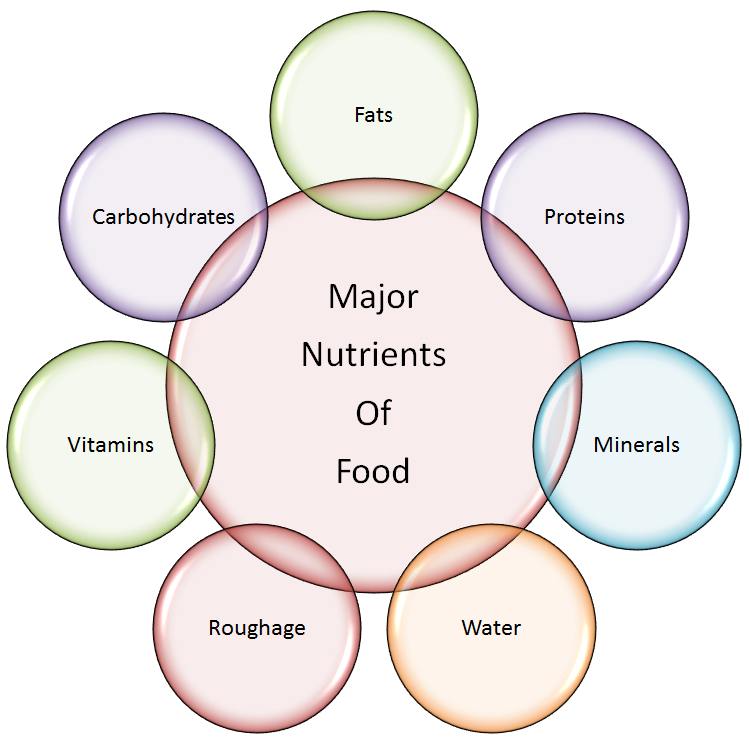 What Are The Six Classes Of Food And Five Example Each